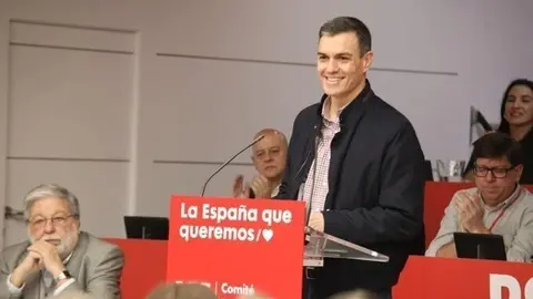El presidente del Gobierno y l&iacute;der del PSOE, Pedro S&aacute;nchez, se dirige al Comit&eacute; Federal del partido