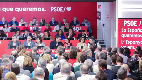 Vista general del Comit&eacute; Federal del PSOE celebrado el 15 de febrero de 2020 en Madrid