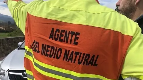 Efectivos de lucha contra los incendios forestales