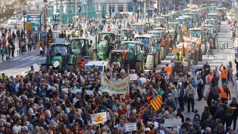 Tractorada en Val&egrave;ncia en favor del futuro del sector