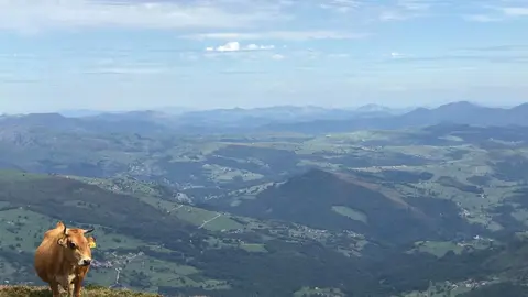 WhatsApp Image 2020-02-18 at 20.17.25