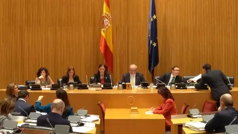 La ministra de Industria, Comercio y Turismo, Reyes Maroto, en lacomisi&oacute;n del Congreso para presentar las principales l&iacute;neas de actuaci&oacute;n de su cartera