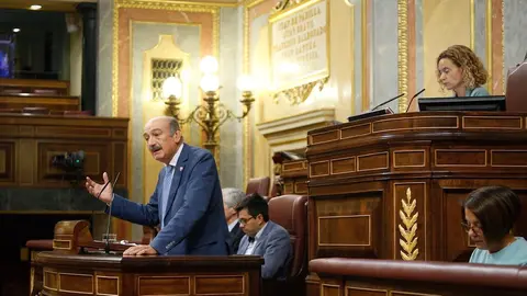 Maz&oacute;n ser&aacute; portavoz del Grupo Mixto en las comisiones de Hacienda y Pol&iacute;tica Territorial del Congreso