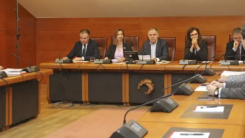 La consejera de Econom&iacute;a y Hacienda, Mar&iacute;a S&aacute;nchez, comparece ante la Comisi&oacute;n de Econom&iacute;a y Hacienda del Parlamento
