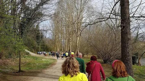 Visita guiada a La Viesca