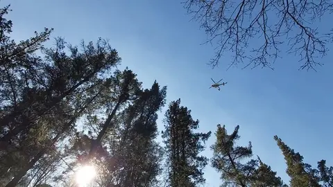 Incendios forestales