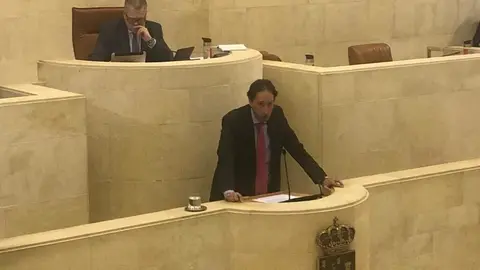 Gochicoa en el Pleno del Parlamento