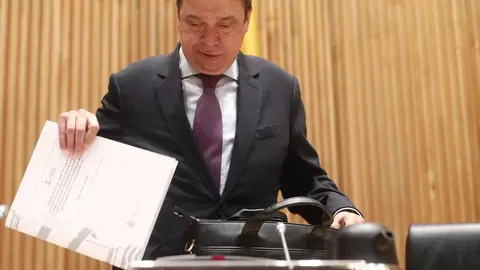 El ministro de Agricultura, Pesca y Alimentaci&oacute;n, Luis Planas, momentos antes de su comparecencia en la Comisi&oacute;n de Agricultura en el Congreso
