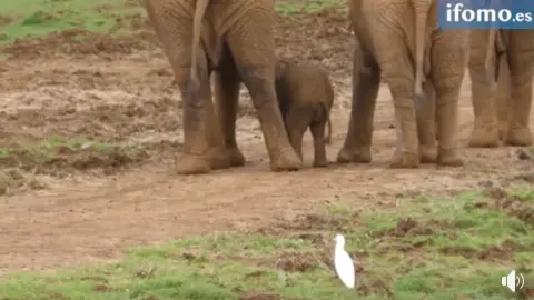 Captura de pantalla 2020-02-27 a las 12.44.17