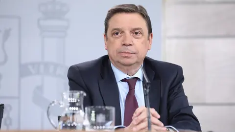 El ministro de Agricultura, Pesca y Alimentaci&oacute;n, Luis Planas