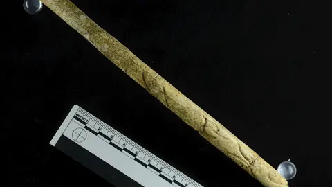 Ndp Y Foto Pieza Del Mes Mupac