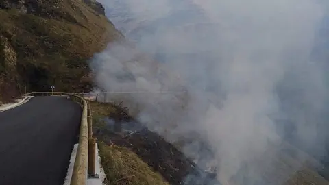 Imagen de archivo de incendio forestal  