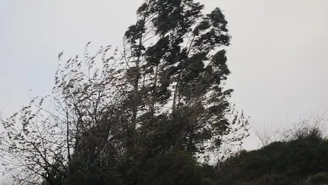 fotonoticia_20180308181237_640