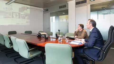 El consejero de Medio Ambiente, Guillermo Blanco, asiste por videoconferencia al Consejo