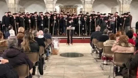 Marceros en el Parlamento