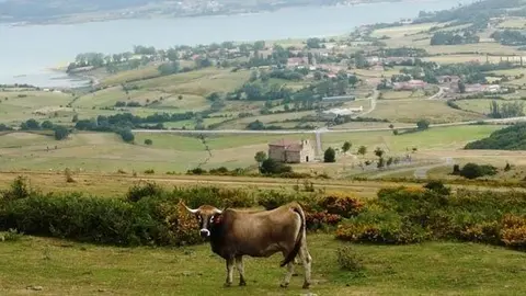 Paisaje de Campoo de Yuso