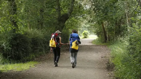 Ecoembes recogi&oacute; 264 toneladas de envases en cinco meses en el Camino de Santiago a su paso por Cantabria, La Rioja, Castilla y Le&oacute;n, Asturias y Galicia.