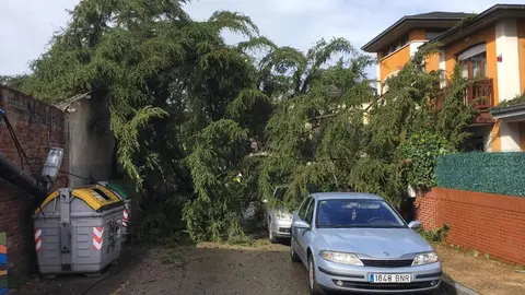 PHOTO-2020-03-06-15-06-42 2