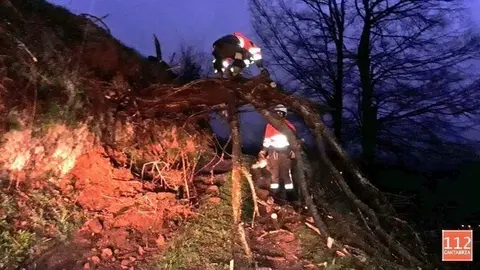 Arbol ca&iacute;do en una pista en Selaya