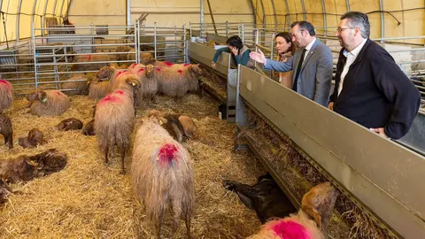 El consejero de Desarrollo Rural, Ganader&iacute;a, Pesca, Alimentaci&oacute;n y Medio Ambiente, Guillermo Blanco, en la Finca La Jerrizuela