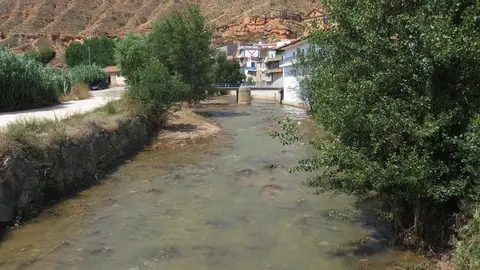 La Confederaci&oacute;n Hidrogr&aacute;fica del Ebro (CHE) ha concluido dos actuaciones de limpieza y conservaci&oacute;n del cauce del r&iacute;o Huerva