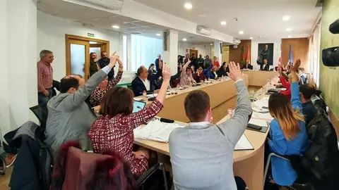 El Pleno de Torrelavega aprueba una moci&oacute;n de apoyo a los trabajadores de Sniace