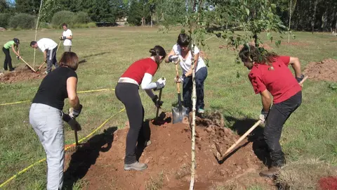 Jornada de plantaci&oacute;n en  Pesquera