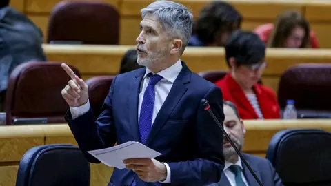 El ministro del Interior, Fernando Grande-Marlaska, en el Senado