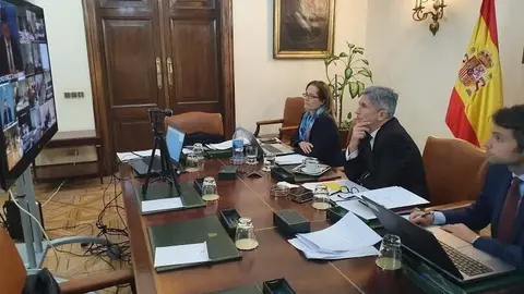 El ministro del Interior, Fernando Grande-Marlaska, en la reuni&oacute;n telem&aacute;tica donde se han restablecido los controles de frontera terrestre por el Covid-19