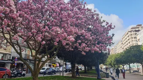 Primavera en Santander