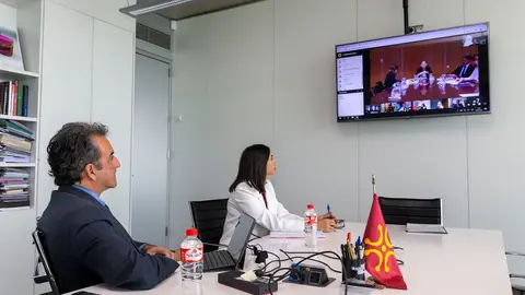 Sectorial de Comercio con la ministra Reyes Maroto