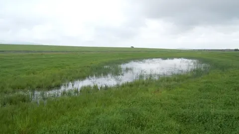 Fotos Y Nota Investigadores Evidencian El Papel De Los Humedales De La Cuenca Mediterr&aacute;nea Como Eje Vertebral Del Territorio Desde La Antig&uuml;edad