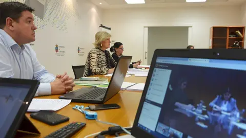 Reuni&oacute;n telem&aacute;tica de la Sectorial de Turismo