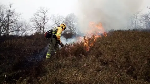 Incendios forestales en Cantabria (archivo)