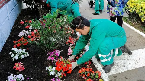 Alumnos de Formaci&oacute;n Profesional haciendo pr&aacute;cticas de jardiner&iacute;a en Santander.