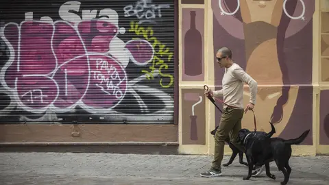 Un hombre pasea a su perro durante confinamiento. Archivo