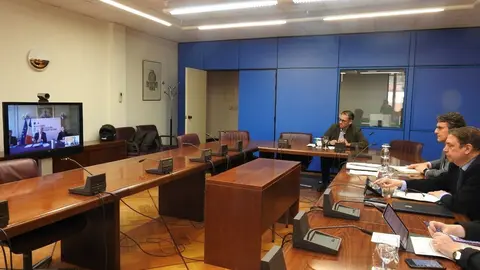 El ministro de Agricultura, Pesca y Alimentaci&oacute;n, Luis Planas, se re&uacute;ne con el titular de Agricultura franc&eacute;s por videoconferencia