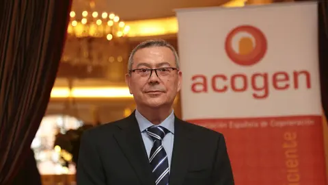 El nuevo presidente de la Asociaci&oacute;n Espa&ntilde;ola de Cogeneraci&oacute;n (Acogen), Antonio P&eacute;rez Palacio.