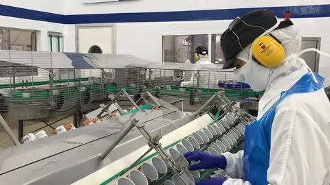 Nestl&eacute;, producci&oacute;n de Litoral