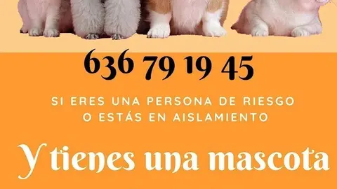 Voluntariado de cuidado de mascotas