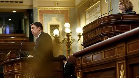 La presidenta de la c&aacute;mara, Meritxell Batet y el ministro de Agricultura, Luis Planas, durante el pleno celebrado este mi&eacute;rcoles en el Congreso de los Diputados en Madrid. 
