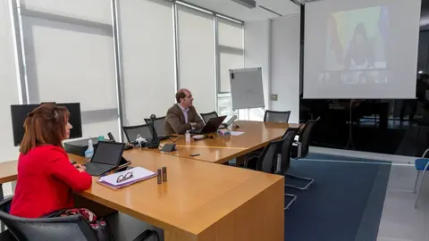 La consejera de Empleo, Ana Bel&eacute;n &Aacute;lvarex, en la videoconferencia