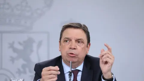 El ministro de Agricultura, Luis Planas, en una imagen de archivo.