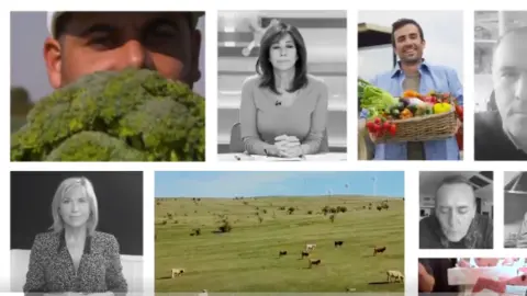 alimentais nuestra vida