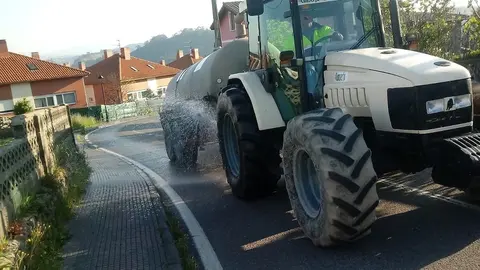 Nota Y Foto: Trabajos Desinfecci&oacute;n