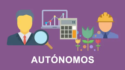 Diseño-web-Autónomos-limoncomunicacion.com_