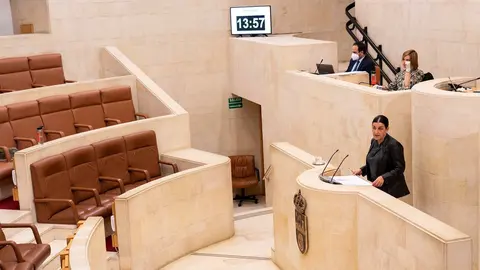 La presidenta del PP, Mar&iacute;a Jos&eacute; Sa&eacute;nz de Buruaga, pide a Revilla que lidere la respuesta a la crisis