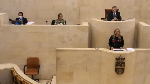 Noelia Cobo, portavoz del PSOE, en el Pleno monogr&aacute;fico sobre la epidemia de coronavirus