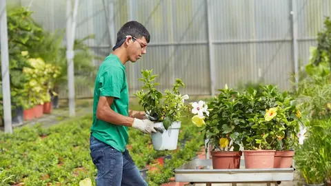 Coronavirus.- Fundaci&oacute;n 'la Caixa' ampl&iacute;a plazo para presentar iniciativas a su Programa de Ayudas a Proyectos Sociales