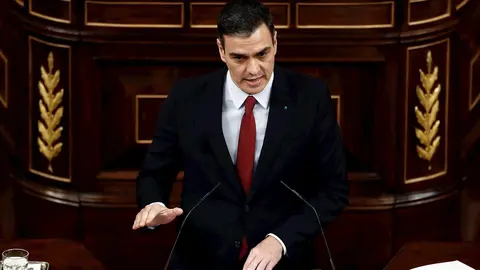 El presidente del Gobierno, Pedro S&aacute;nchez,  en el Pleno del Congreso